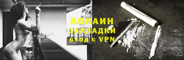 дмт Арсеньев