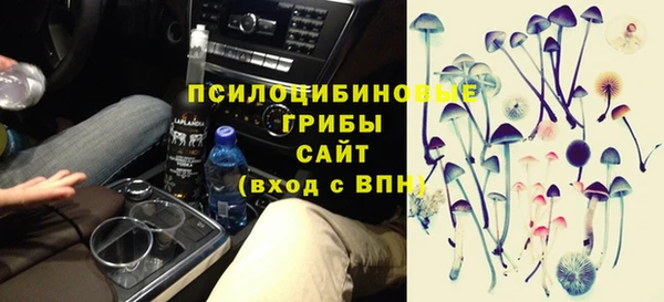 хмурый Балабаново