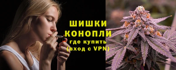 дмт Арсеньев